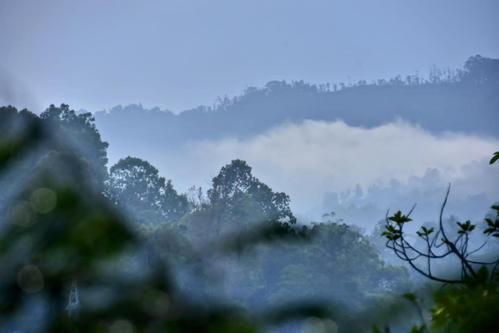 Апартаменти Green Jungle " Cool View" Елла Екстер'єр фото