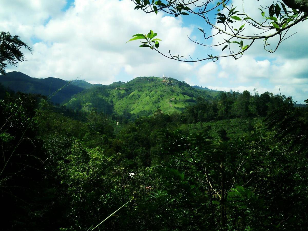 Апартаменти Green Jungle " Cool View" Елла Екстер'єр фото